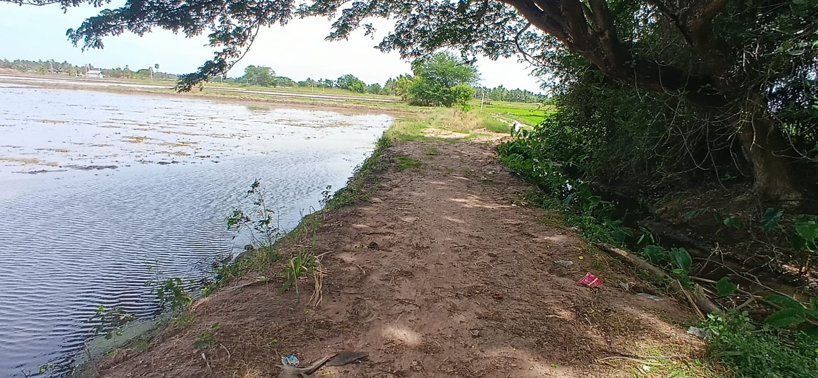 Agricultural Land